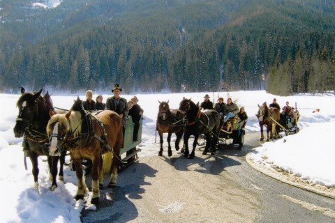 Foto Pferdeschlittenfahrt am Jägersee in Kleinarl
